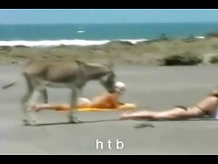 Chica amateur con gafas se sube al autobús y se la follan correctamente