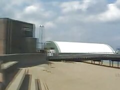 Pelirroja chupando polla dura